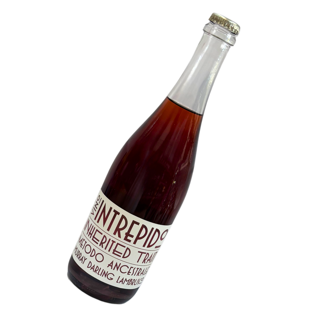 Vino Intrepido Lambrusco "Inherited Trait" 2022